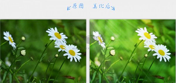 2345看圖王截圖