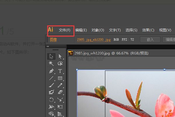 Illustrator官網版