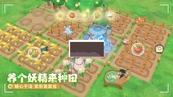 織夢(mèng)森林