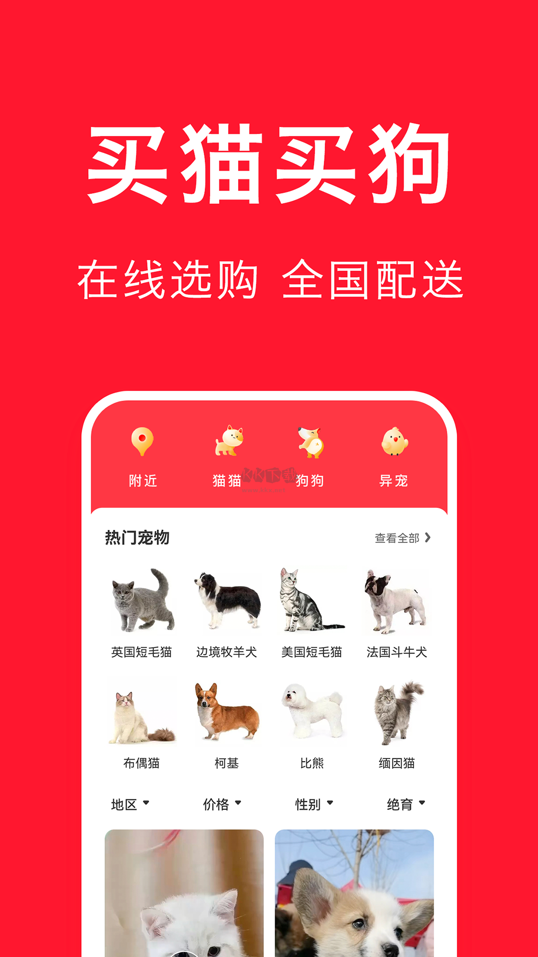 寵物寶最新版