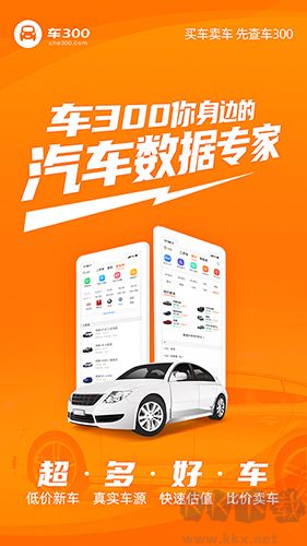 車300二手車app1