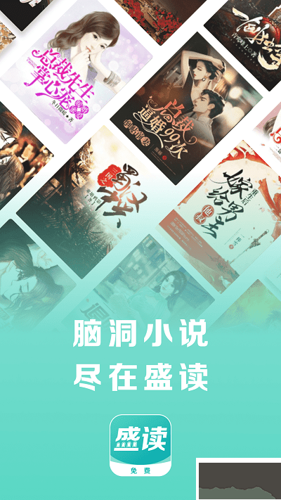 盛讀小說最新版