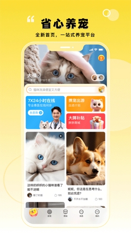 寵胖胖正版