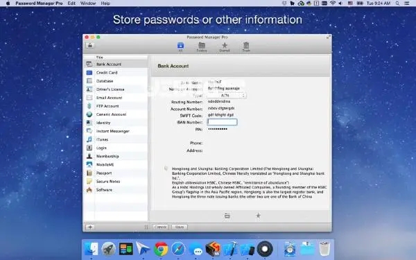 password manager XP(數據加密軟件)