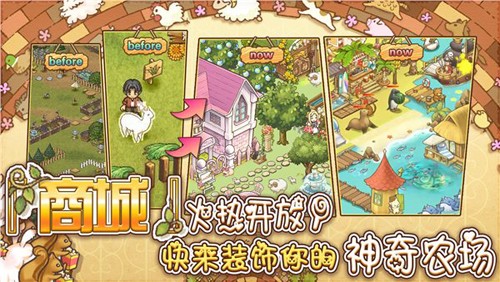 綿羊村的恬靜時光