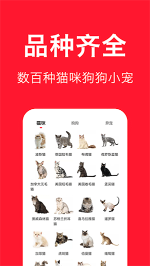 寵物寶app安卓版