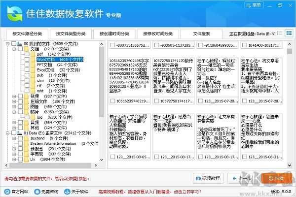 佳佳數據恢復軟件專業版