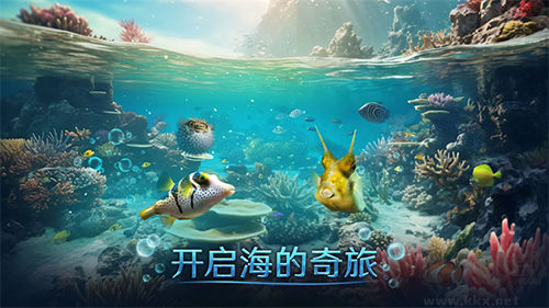 小小水世界(內附攻略)