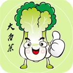 大白菜超級U盤啟動盤制作工具最新版 v6.0.2