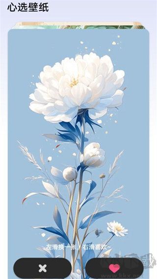 杪換壁紙app綠色版