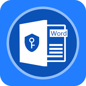 九雷Word加密解密器電腦版 v2.0.0