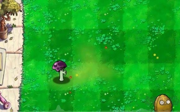 植物大戰僵尸膽小菇之夢安卓版