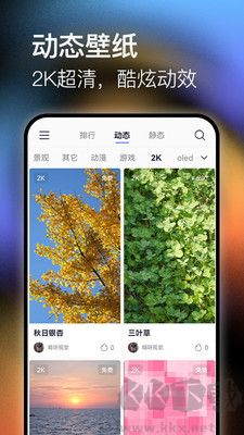 極壁紙去廣告版