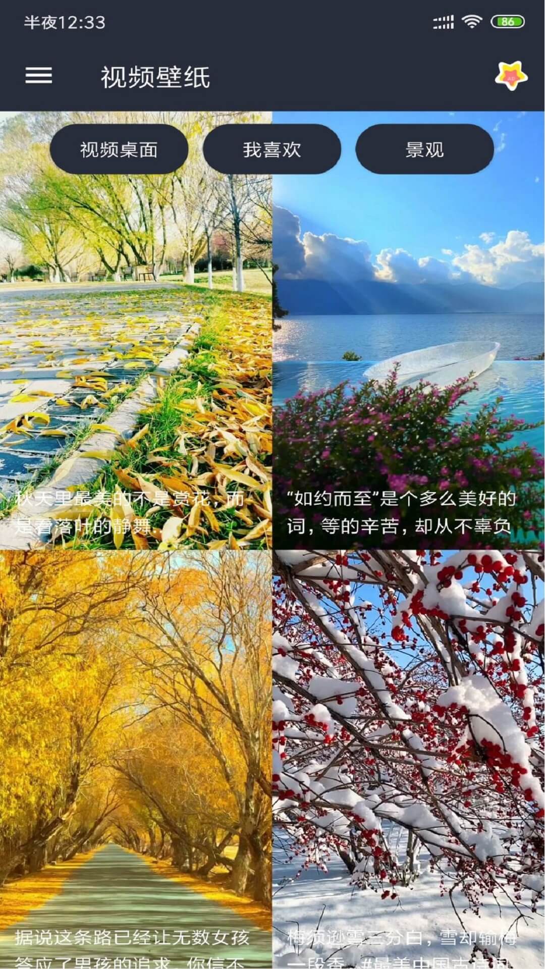安果視頻壁紙app超清版