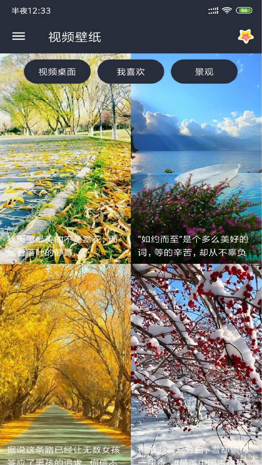 安果視頻壁紙app超清版