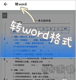 蜜蜂試卷