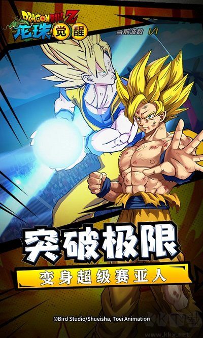龍珠覺(jué)醒安卓版