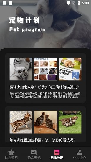 貓咪壁紙(Kittens Wallpapers)