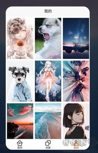 哈嘍壁紙app安卓版