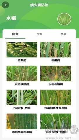 智慧農(nóng)業(yè)全新版