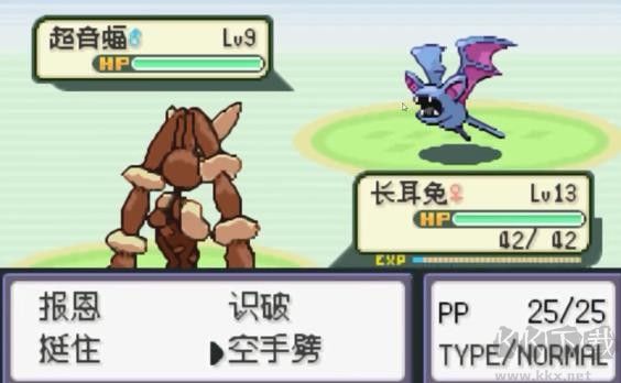 口袋妖怪火箭隊漢化版