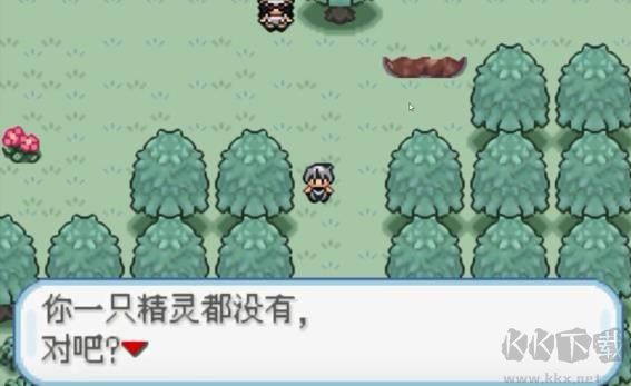 口袋妖怪火箭隊漢化版