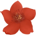 小紅花音效助手綠色版 v2.2.1