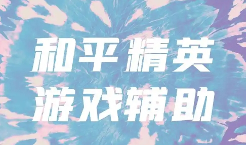 熱門必備和平精英輔助工具推薦-2024實(shí)用必備和平精英輔助工具排行榜-實(shí)用好用的和平精英助手大全