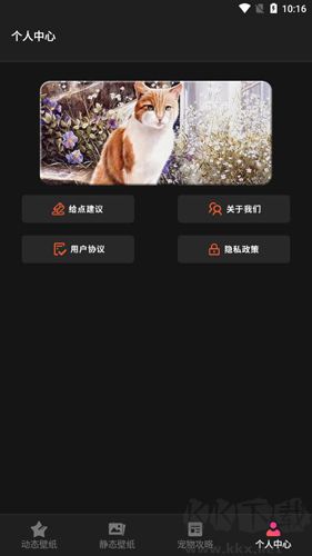喵喵之家app高清版