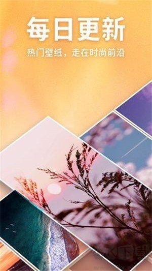 靈貓壁紙app最新版
