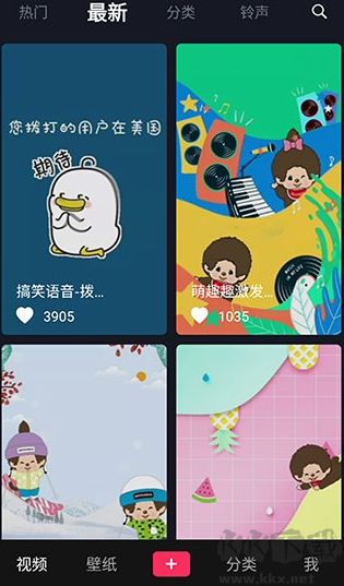 靈貓壁紙