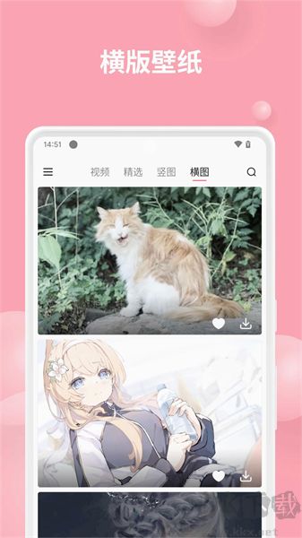 汽水壁紙app綠色版