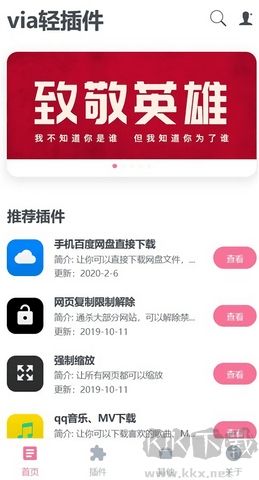 via輕插件高級版