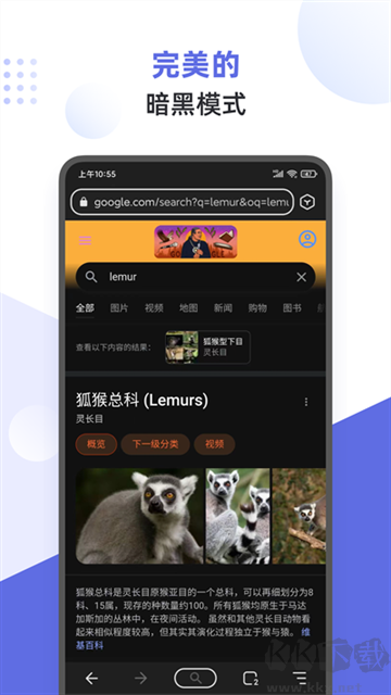狐猴瀏覽器舊版本