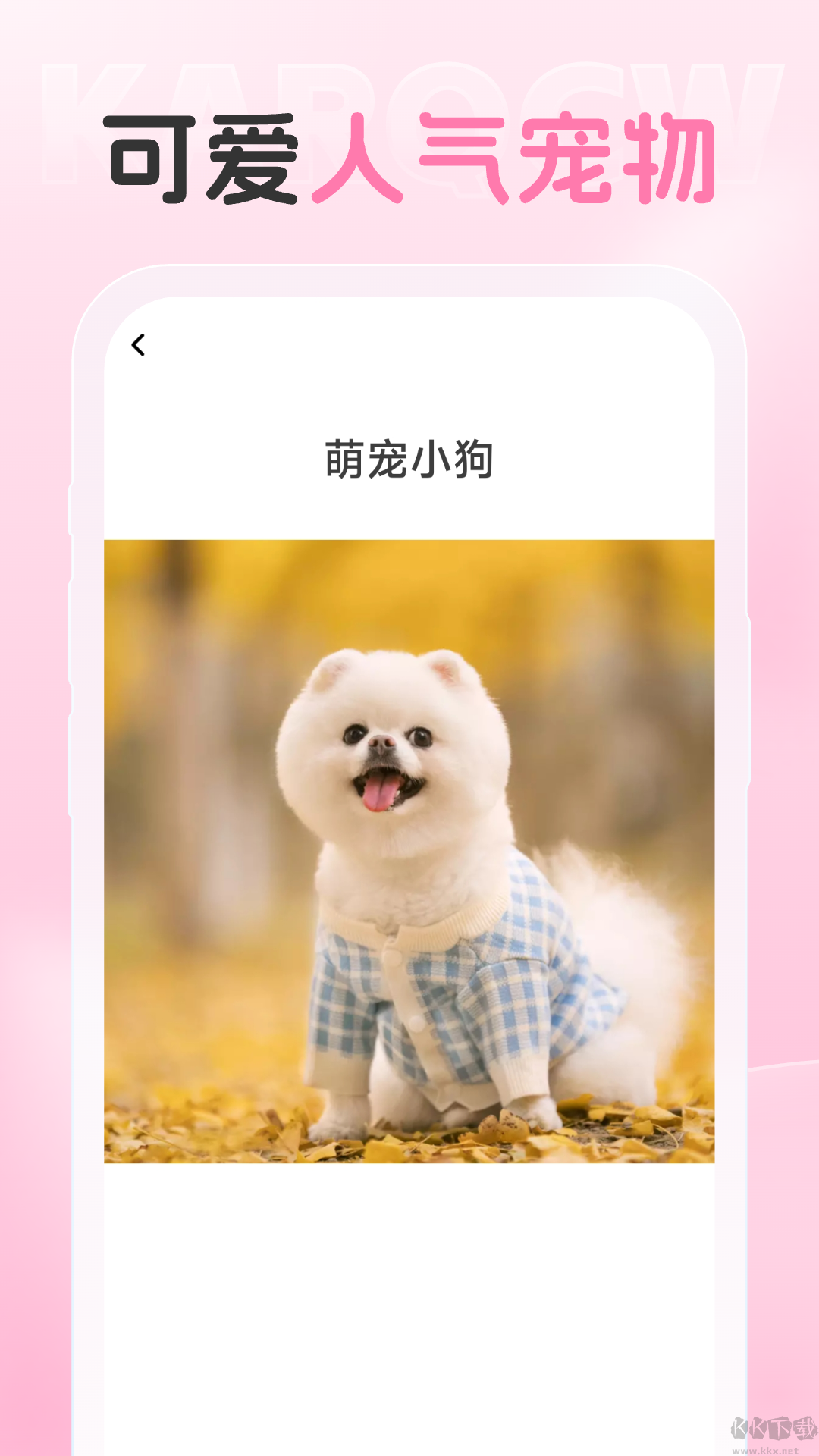 愛炫相機app綠色版