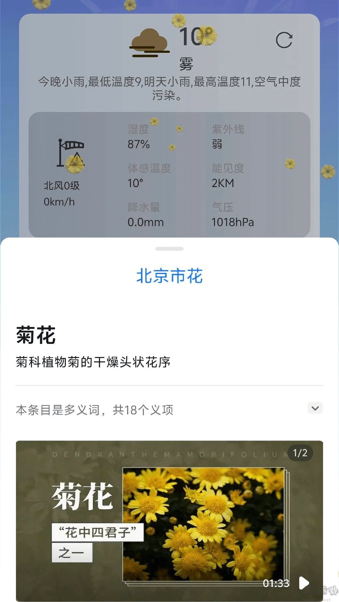 繁花天氣預(yù)報(bào)最新版