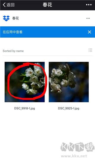 Dropbox云存儲
