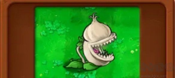 基礎植物圖鑒介紹截圖7