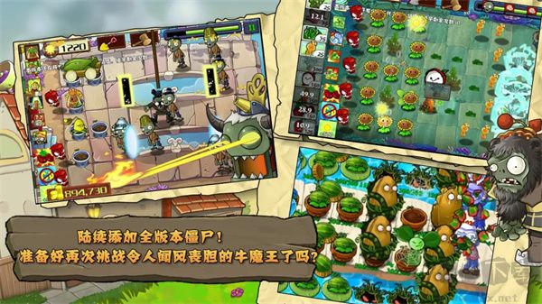 植物大戰僵尸免費版