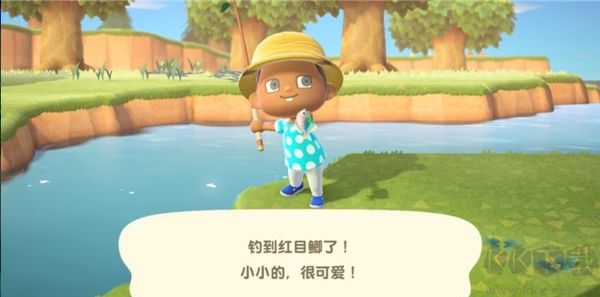 動物森友會