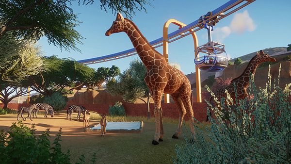動物園之星安卓版