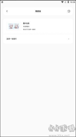 迷你兔