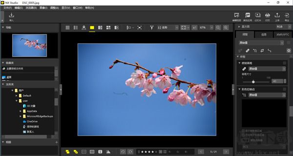 nx studio正版