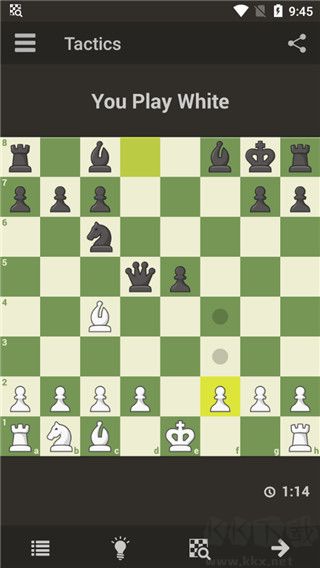 國際象棋大師