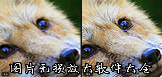 免費無損放大軟件合集-圖片無損放大軟件大全-照片無損放大處理軟件推薦