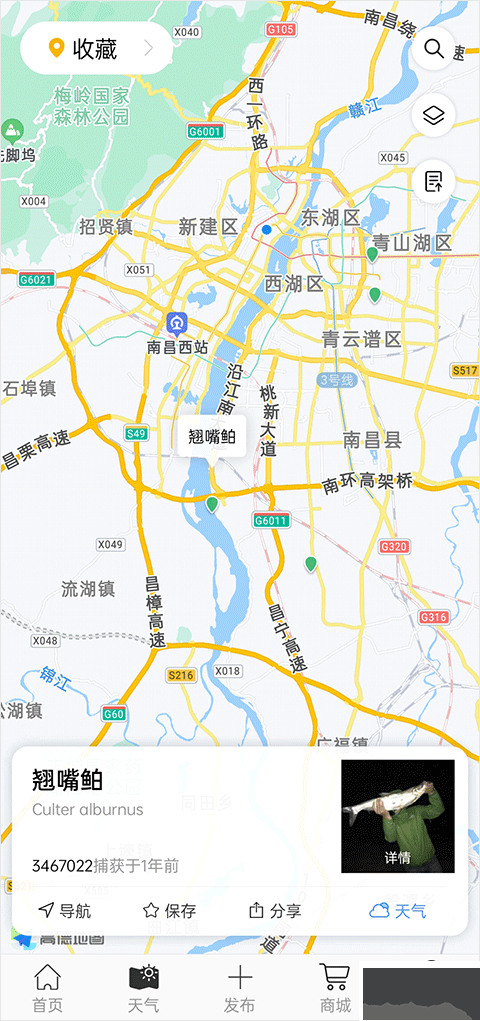 漁獲app
