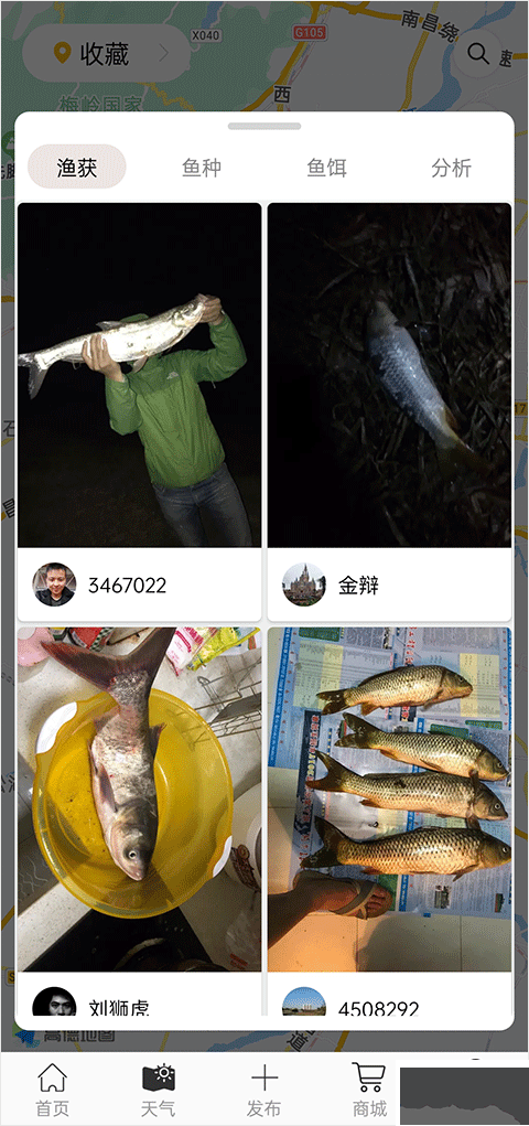 漁獲app