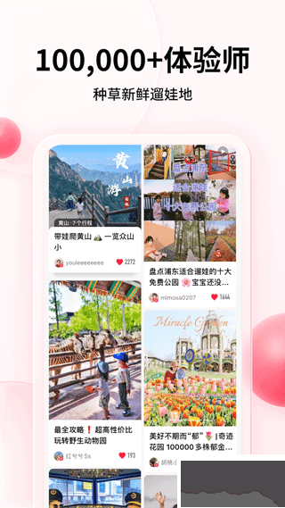 彩貝殼免費版