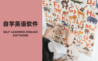 2025英語基礎(chǔ)學習軟件-自學英語的免費軟件大全-英語入門自學app推薦