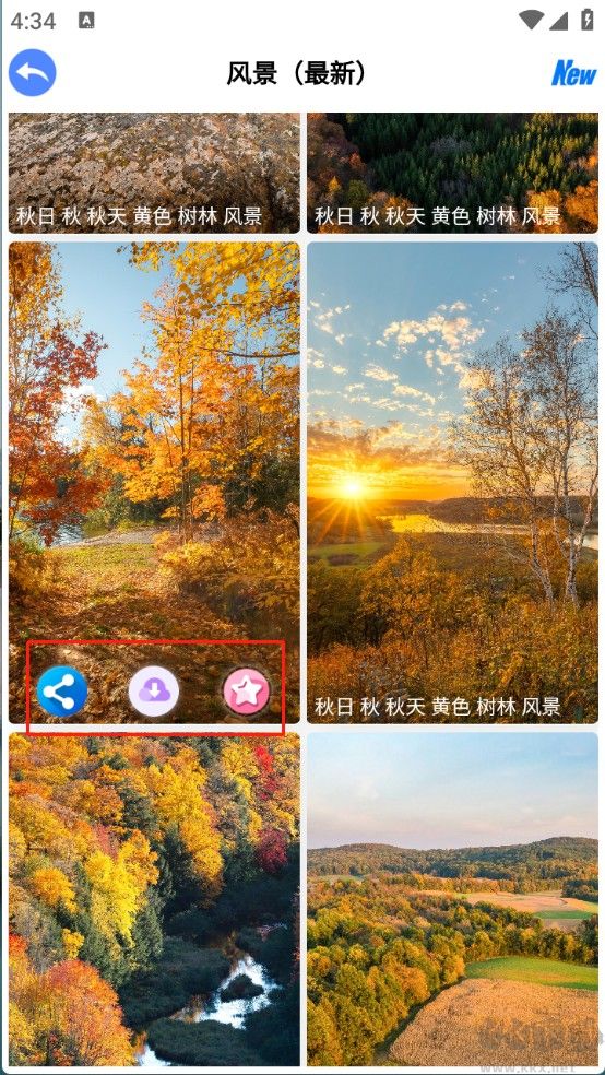 波奇壁紙